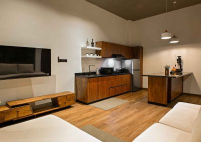 Habitat Apartment Living and Dining Area
