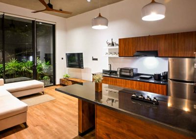 Habitat Apartment Living and Dinning Area